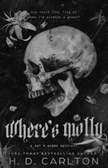 Where's Molly: A Cat & Mouse S (Paperback)